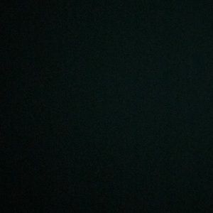 Meet your Posher, Mia